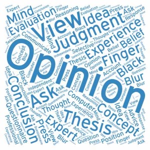 opinion