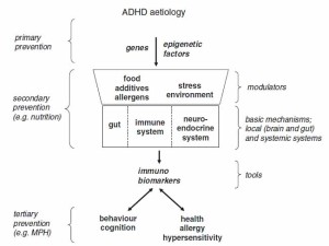 Fig. 1. Schematic representation of prevention levels in ADHD. Click to enlarge.