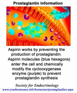 wuthrich1981-prostaglandins